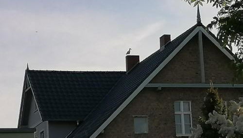 Gästewohnung Schwanenteich - Foto 5