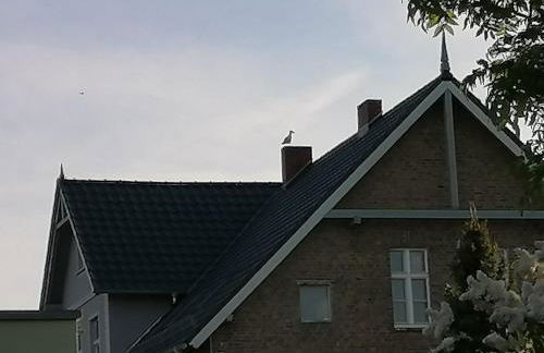 Gästewohnung Schwanenteich - Foto 5