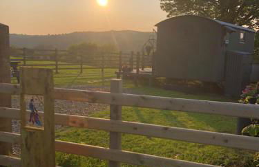 The Peacock Shepherds Hut at Hafoty Boeth - Photo 32