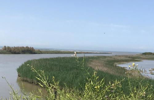 Appartamento Lavanda - Casa vacanza nel Delta del Po - Foto 26