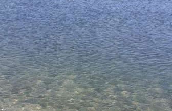 Alda House Terra - Foto 12