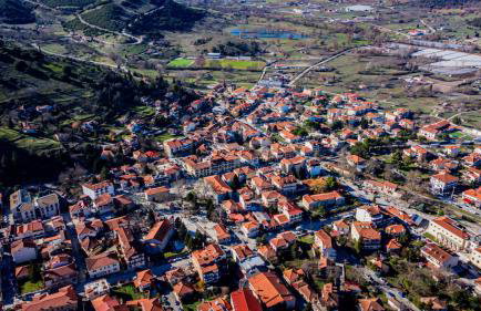 Alexi's House - Photo 50