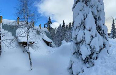 ~Chalet_Rifugio tra i boschi~ - Foto 21