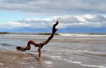 Fischstübchen Neeberg Apt 1 – Wald und Wiese - Foto 40