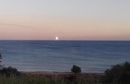 Margarita House - Photo 14