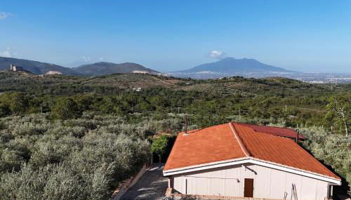 Villa Aurora&Giulia - Foto 3