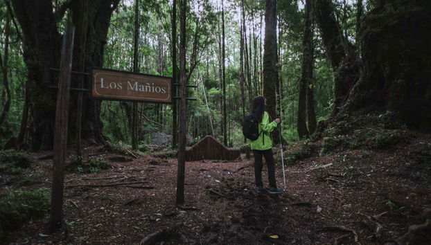 Tepuhueico Day Trip - Foto 5