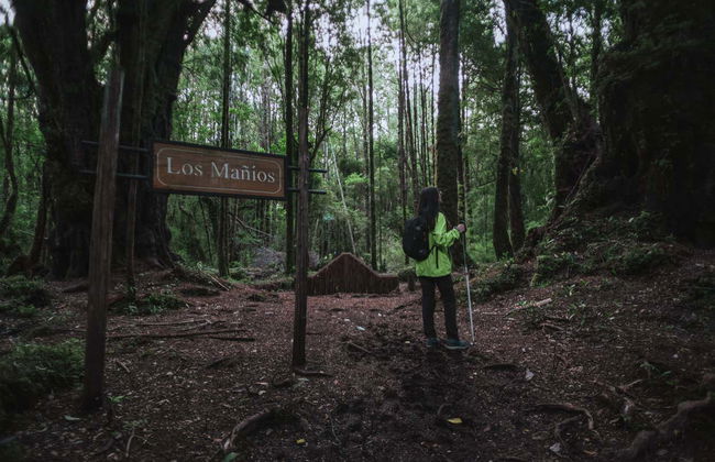 Tepuhueico Day Trip - Foto 5