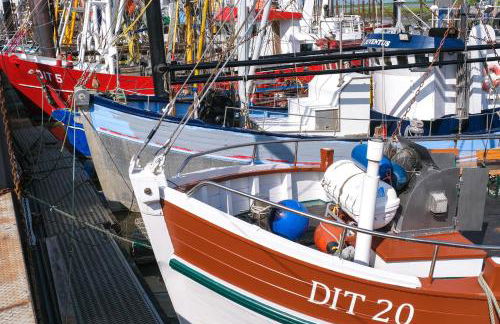 Ferienwohnung Siel 40 Ditzum 45253 - Foto 12