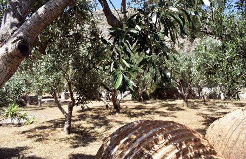 Akroyiali Apartments - Foto 9