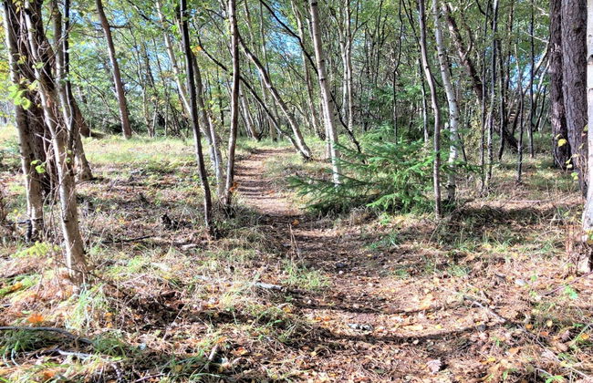 "Osa" - 150m from the sea - Foto 9