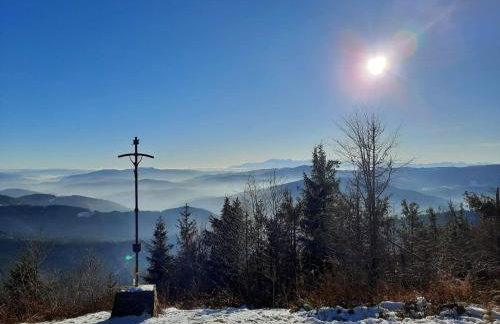 Mogielicki Zakątek - Photo 25