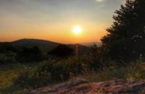 Residenza Primavera Lago Maggiore Colazza - Foto 19