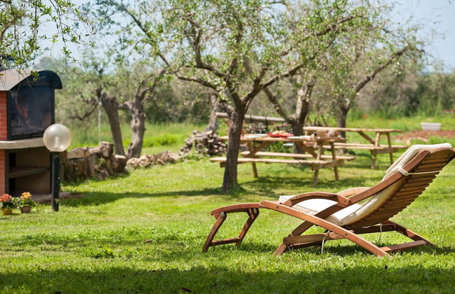 Artemisia negli ulivi B&B - Photo 24