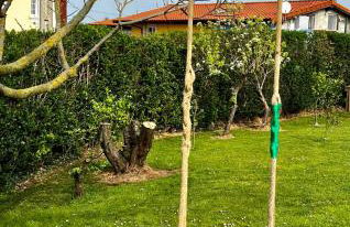 Alojamientos Robustiana - Foto 26