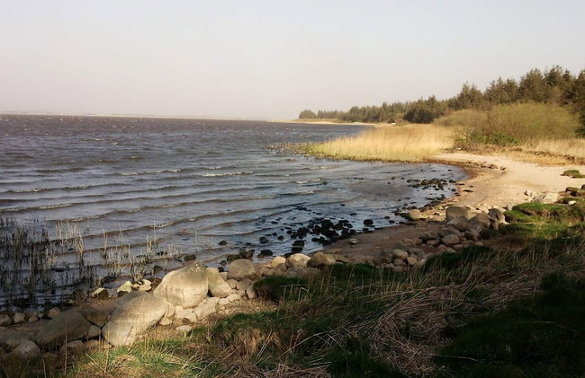 6 Person Holiday Home in Ulfborg - Foto 38