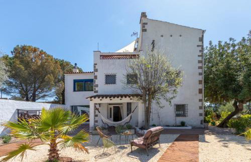 Mas Tinus - Lavanda - Photo 2