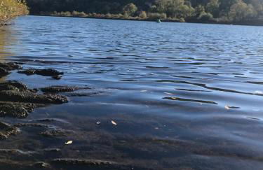 Ferienwohnung-Mesenich - Foto 17