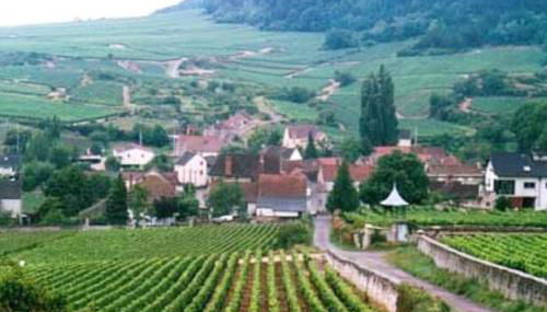 Charmant gîte Au saut des vignes - Foto 3