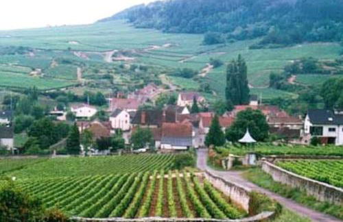 Charmant gîte Au saut des vignes - Foto 3