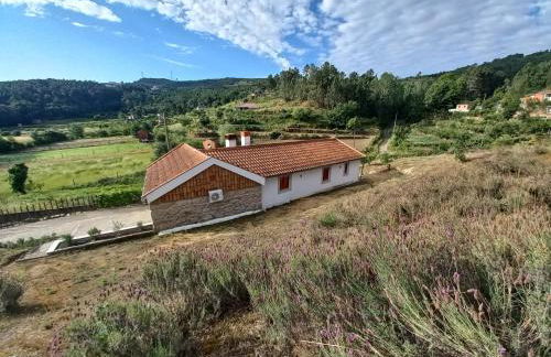 Quinta da Peça Douro Wine Region Retreat, Private Pool Villa - Foto 13