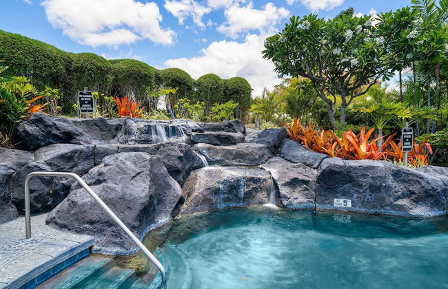 Waikoloa Beach Villas P32 - Foto 20