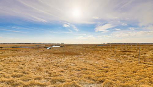 Walk to Beach Water-View Seabrook Sanctuary - Foto 3