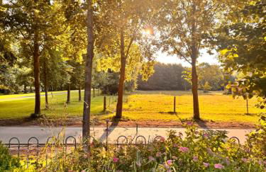 WiesenMeer - Foto 47