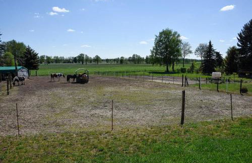 Barrierefreie Ferienwohnung Trüben (Zerbst/Anhalt) - Foto 17