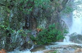 Alojamientos El Chorro - Foto 38