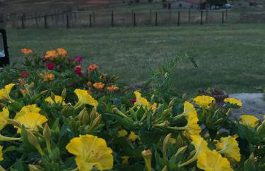 Villa Marina Limnos - Foto 7