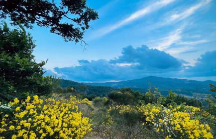 Il Poggio della Luna - Foto 36