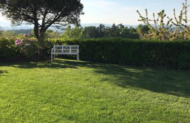 Residenza Ambrogi - Foto 21