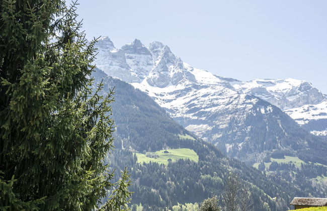 Saint-Joseph - Foto 31