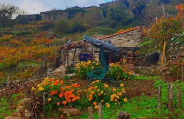 cabaña do rei - Foto 46