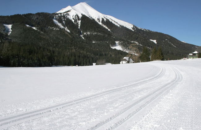 Chalet in Hohentauern Near Ski Lift - Foto 30