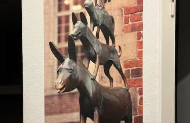 Geräumige, helle 3 Zimmer FeWo - Foto 14