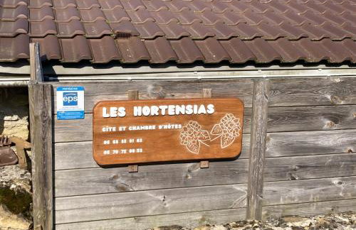 Les Hortensias, charmante petite maison en pierre - Foto 1