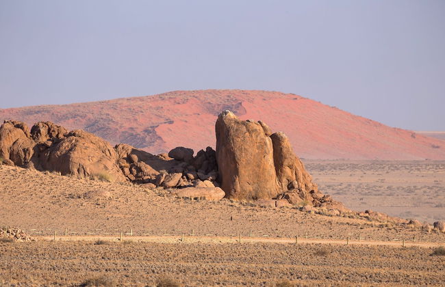 Desert Quiver Camp - Foto 30