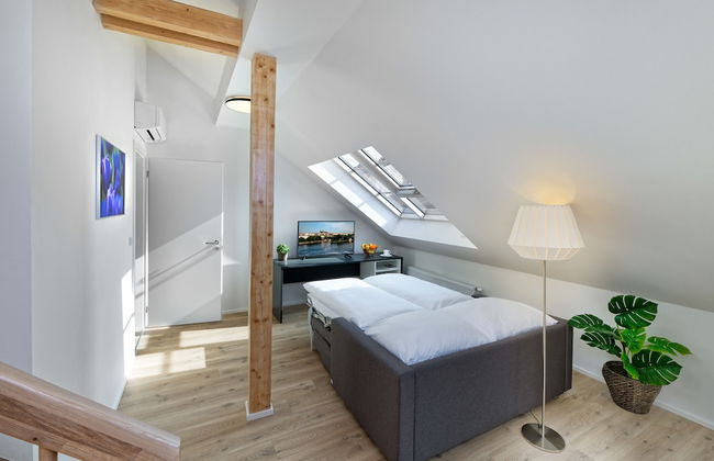 DownTown Suites Jugoslavska - Photo 21