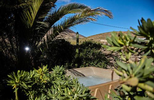 Villa Palmeras Canarias - Photo 19