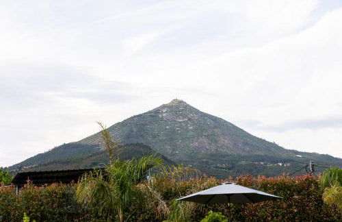 Refúgio das Oliveiras, Mondim de Bastos - Foto 12