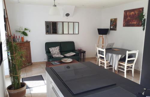 Maison d'hôte très calme plein centre ville jardin - Foto 1