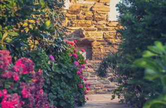 Castria studios - Foto 68