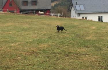 Artgerecht Ferienhäuser - Foto 21