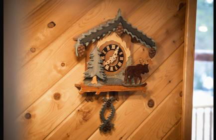 Island Park Hideaway -Bill's Island -Hot Tub -BBQ - Foto 43