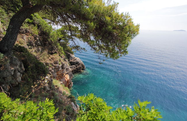 Kalamota Beach House - Photo 38