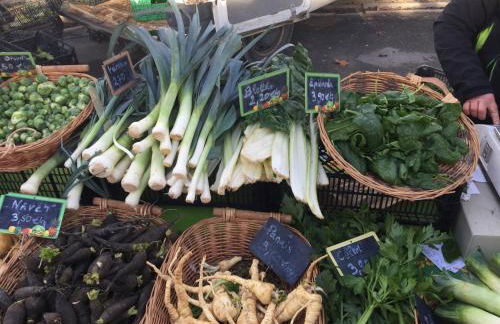 Marquise de Roc - Foto 69