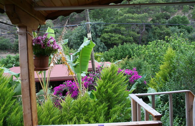 Naz Apart Cirali - Photo 1