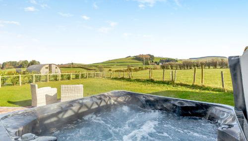 Sunflower - Uk42360 - Foto 2